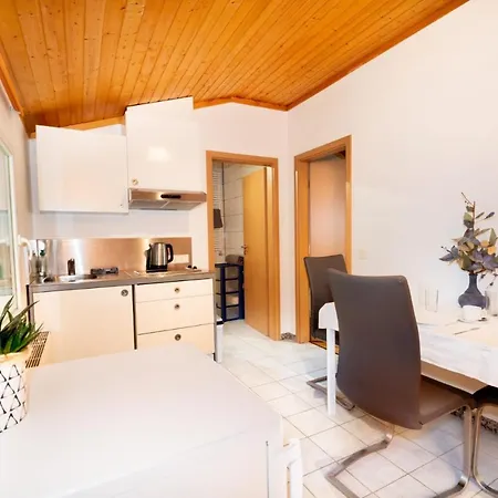 Cozy 1 Bedroom Apartment W Free Public Parking 200M Away * Diekirch