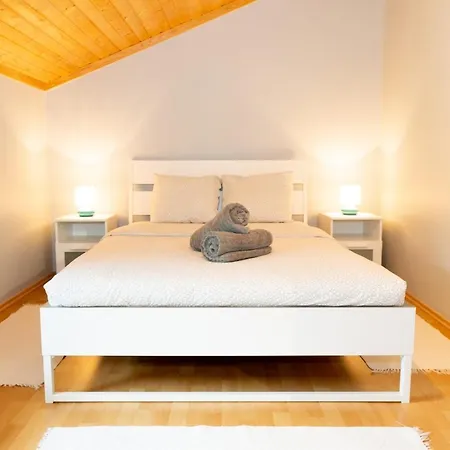 Cozy 1 Bedroom Apartment W Free Public Parking 200M Away Apartment *